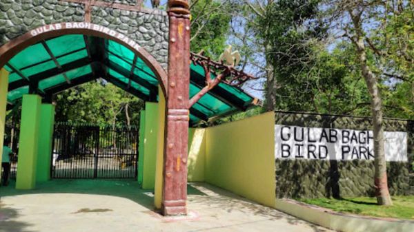 Bird Park - Bird Sanctuary in Udaipur